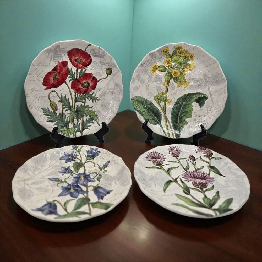 Pier 1 Ironstone Plates Set/4 French Cottage Botanical Floral Rustic Wildflowers